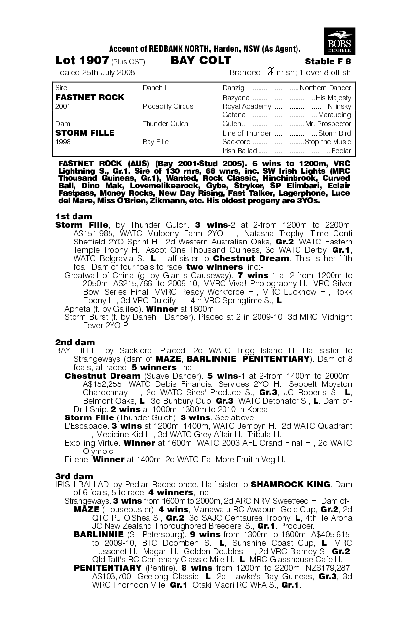 Storm Cell - pedigree