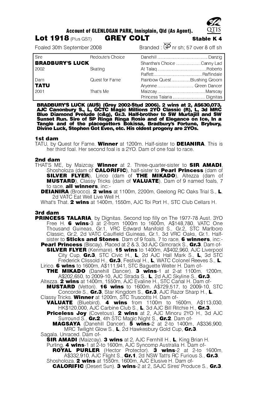 That Great Grey - pedigree