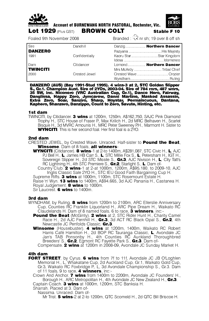 Spin Citi - pedigree