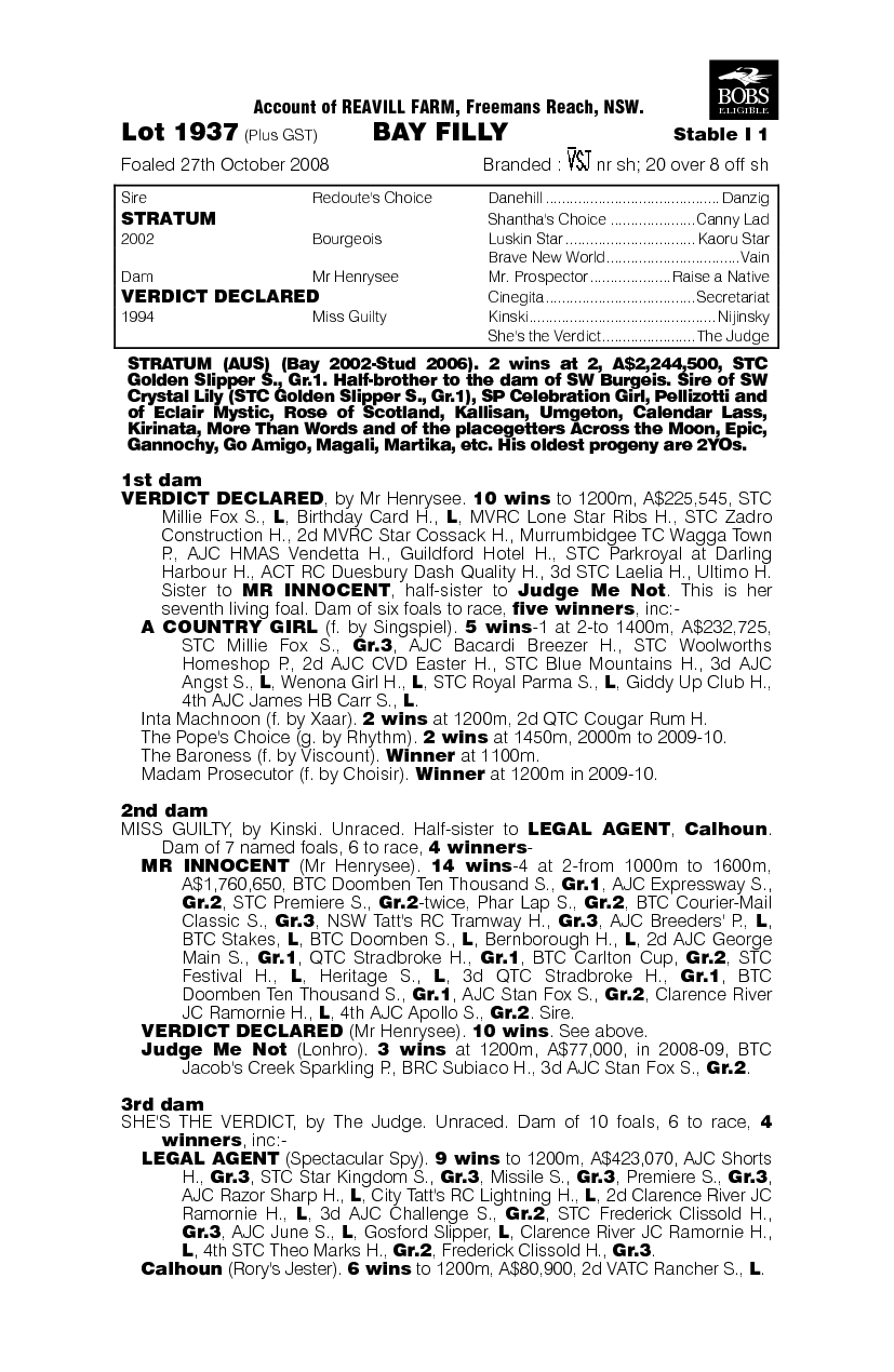 Rock The System - pedigree