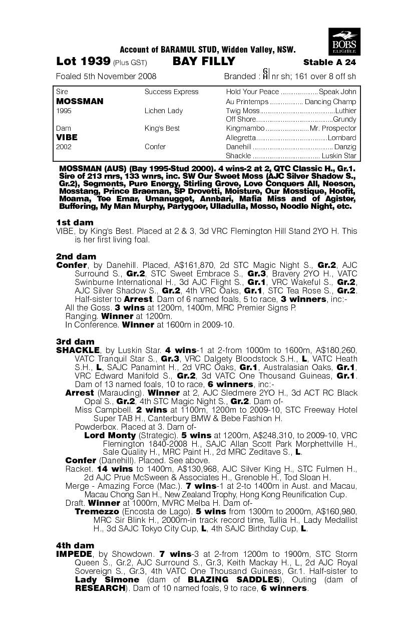 Gotta Have Vibe - pedigree