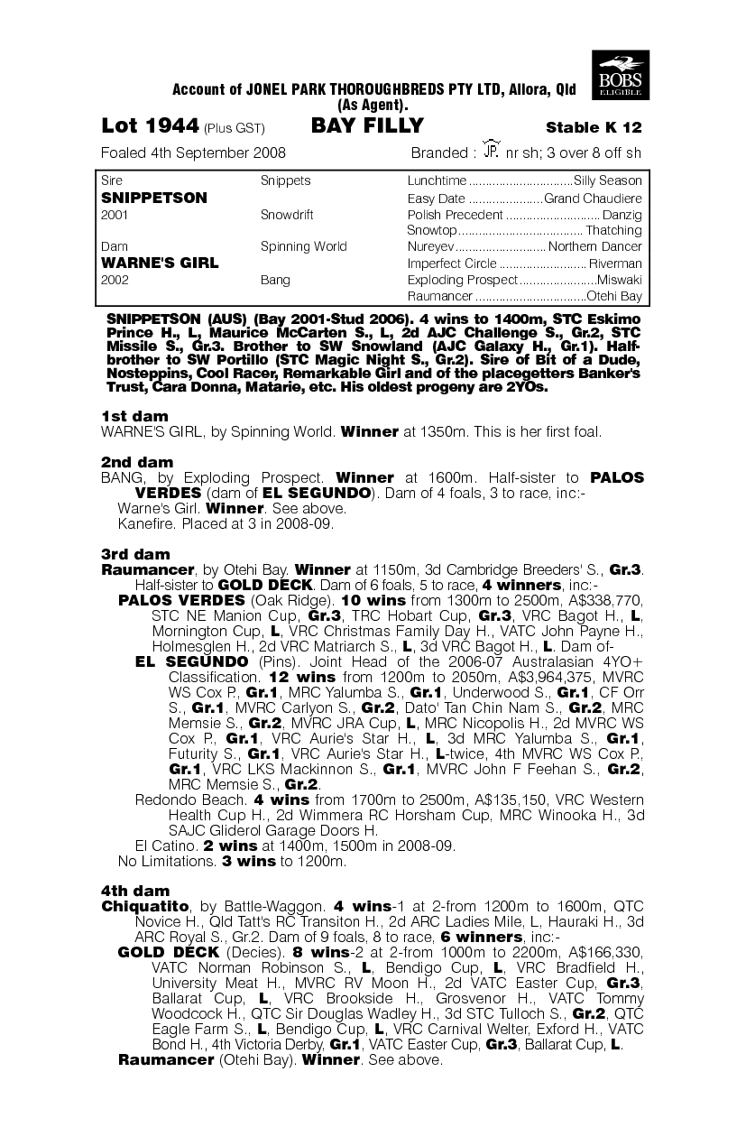 Spin's Girl - pedigree