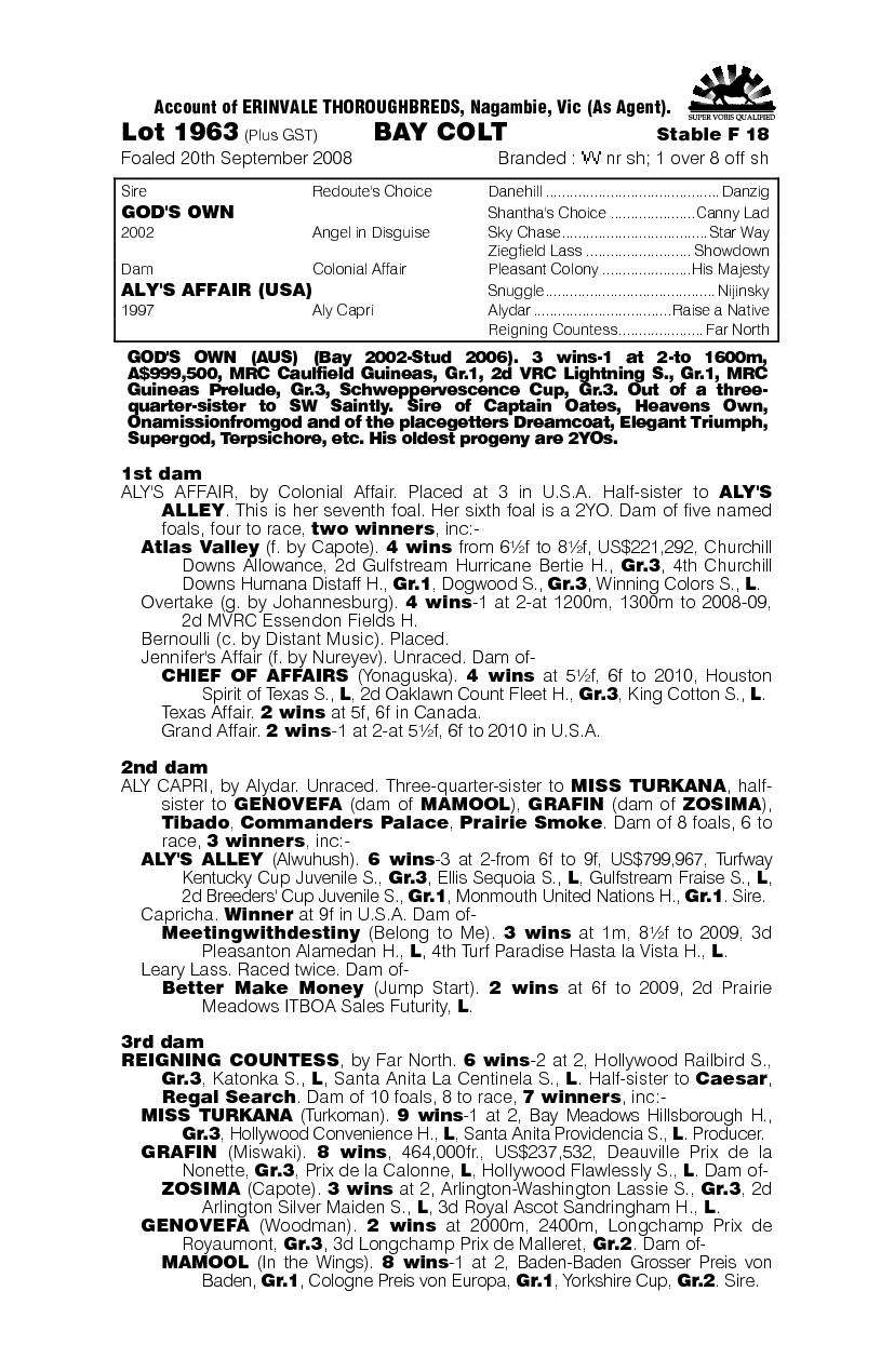 Museeon Hangbeop - pedigree