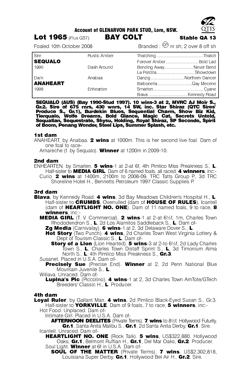 One Lucky Duck - pedigree