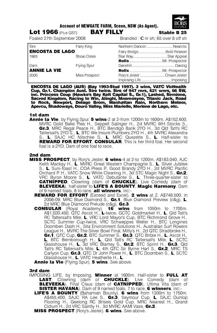 Lady La Vie - pedigree