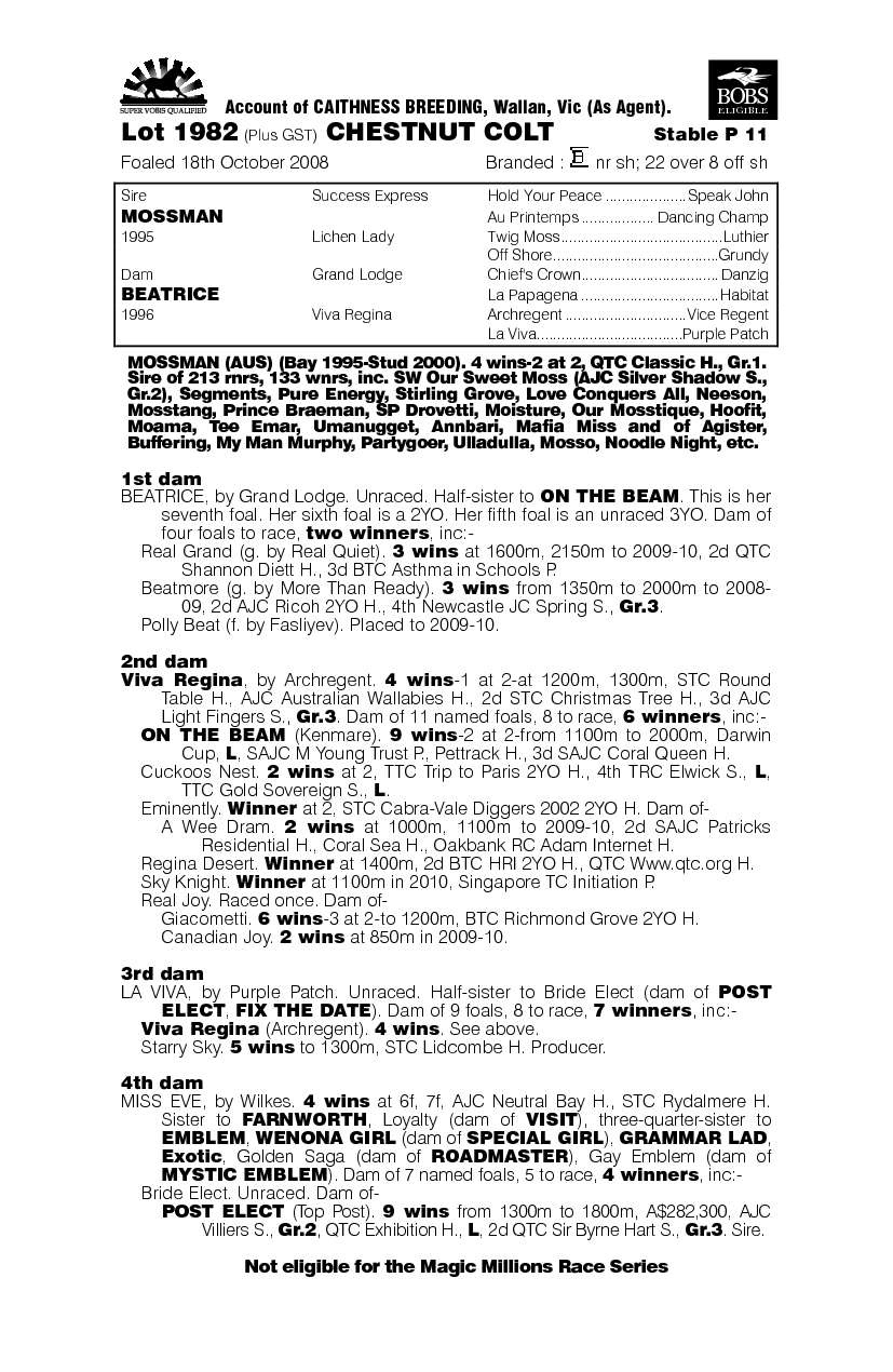 Pilbara Prince - pedigree