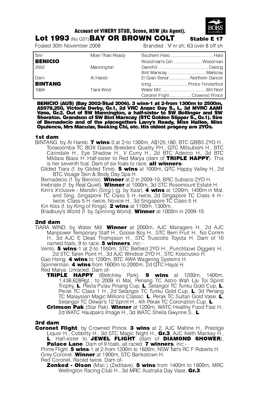 El Jackino - pedigree