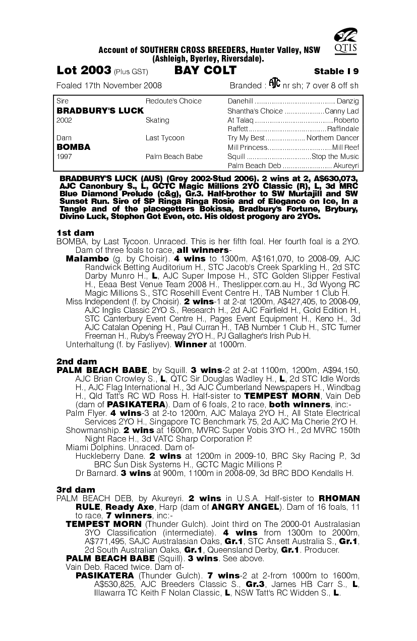 Bradbury's Quest - pedigree