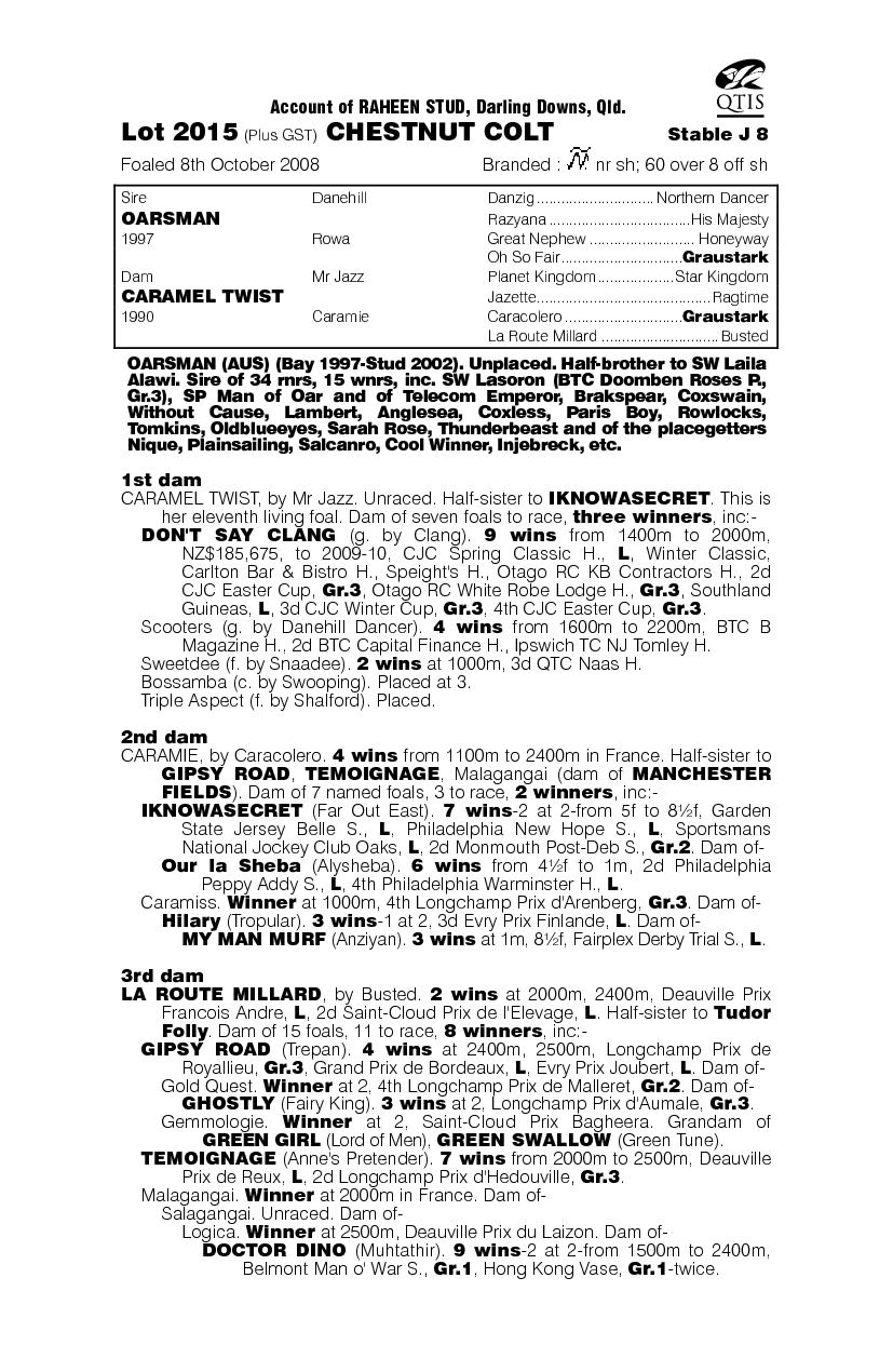 The Big Ginga - pedigree