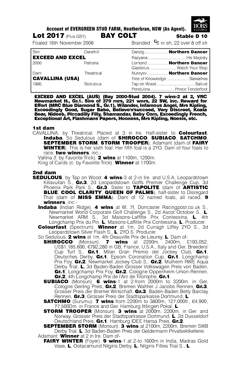 Australian Star - pedigree