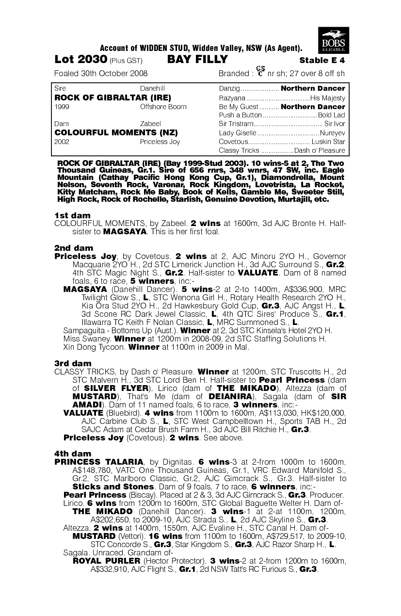 Ray Of Sun - pedigree