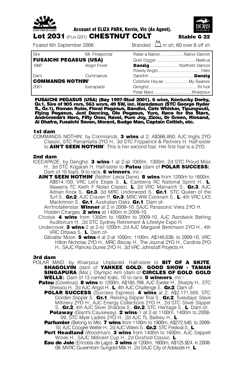Fusaichi Pegasus (USA) / Commands Nothin' (AUS) - pedigree