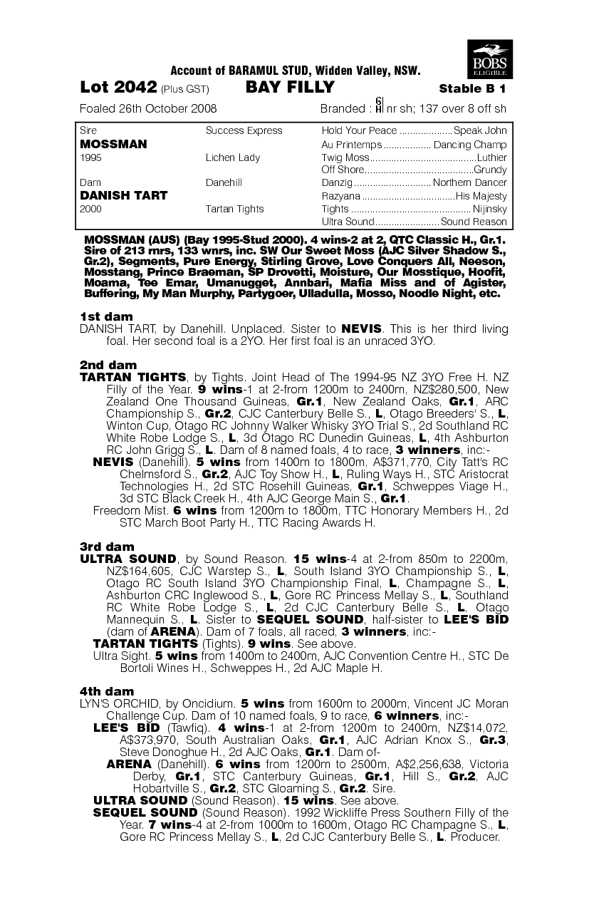 Little Foot Fast - pedigree