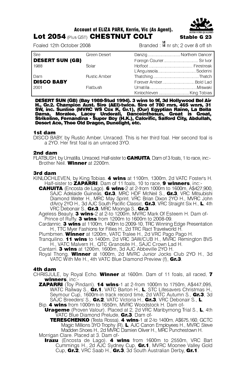 Desert Sun (GB) / Disco Baby (AUS) - pedigree