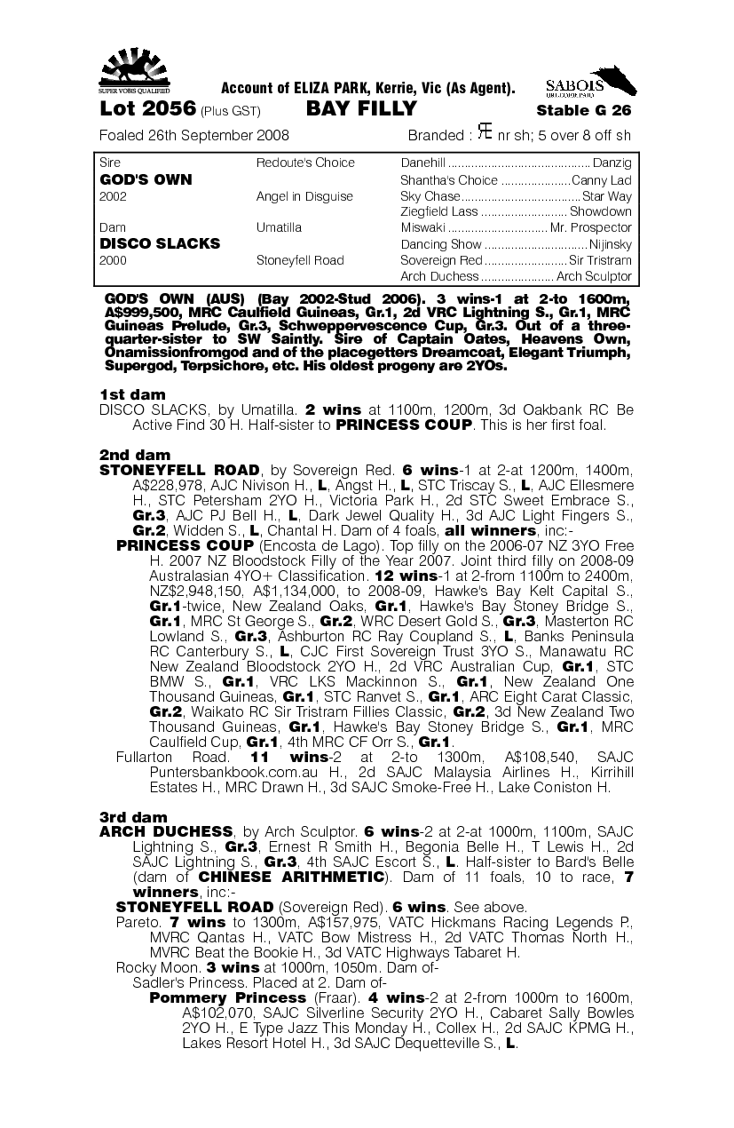 God's Own (AUS) / Disco Slacks (AUS) - pedigree