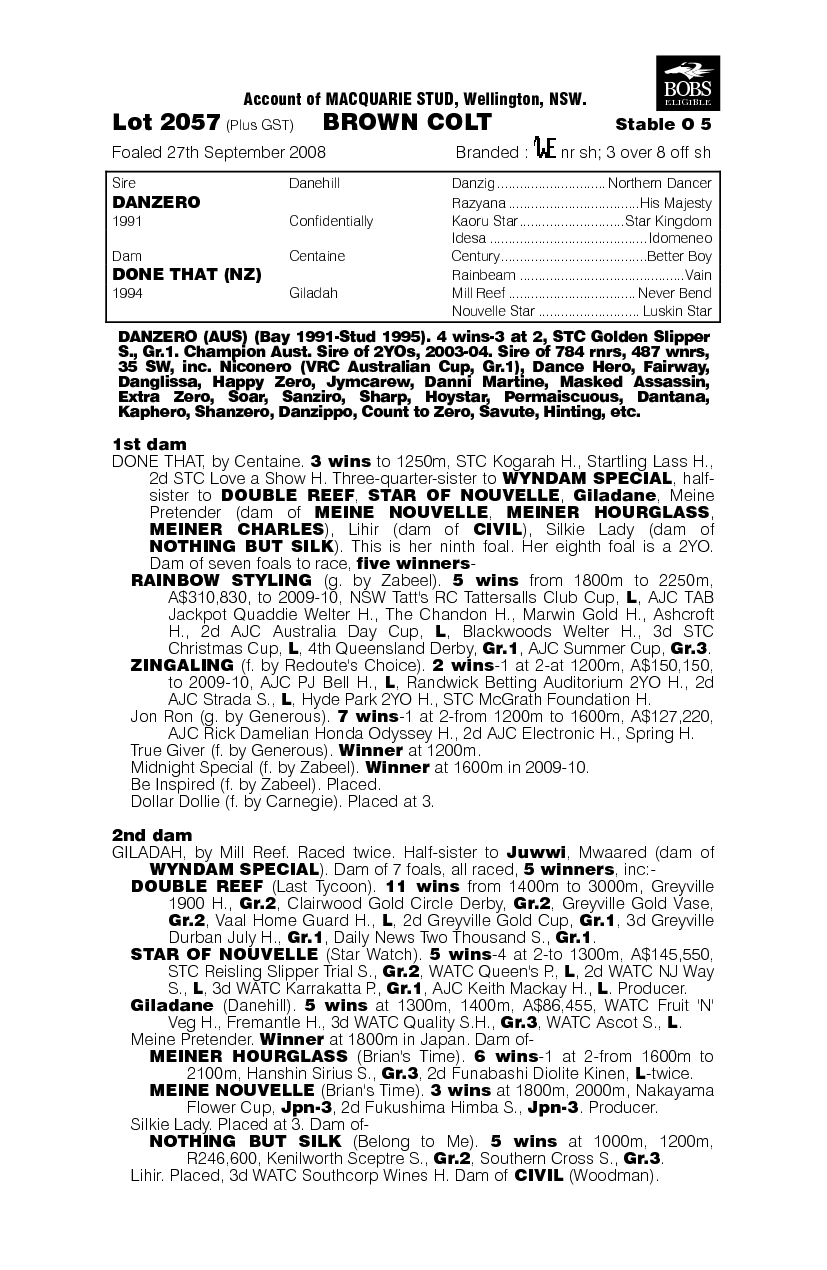 Sergeant Pepper - pedigree