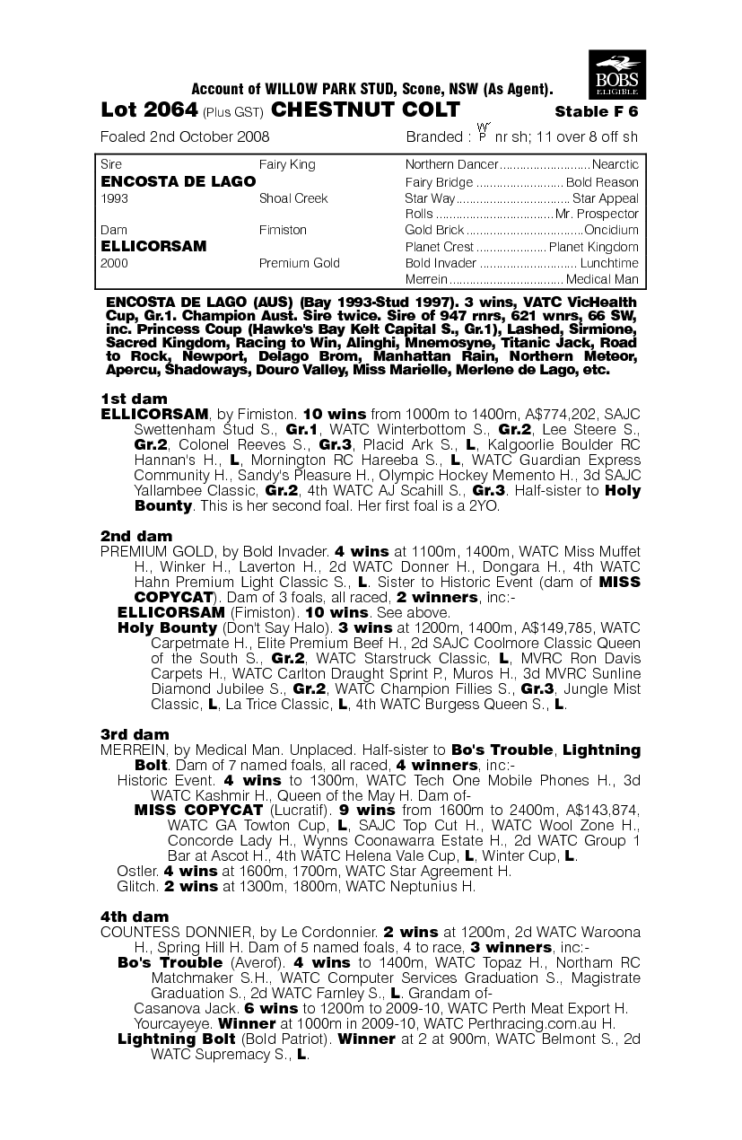 Better Later - pedigree