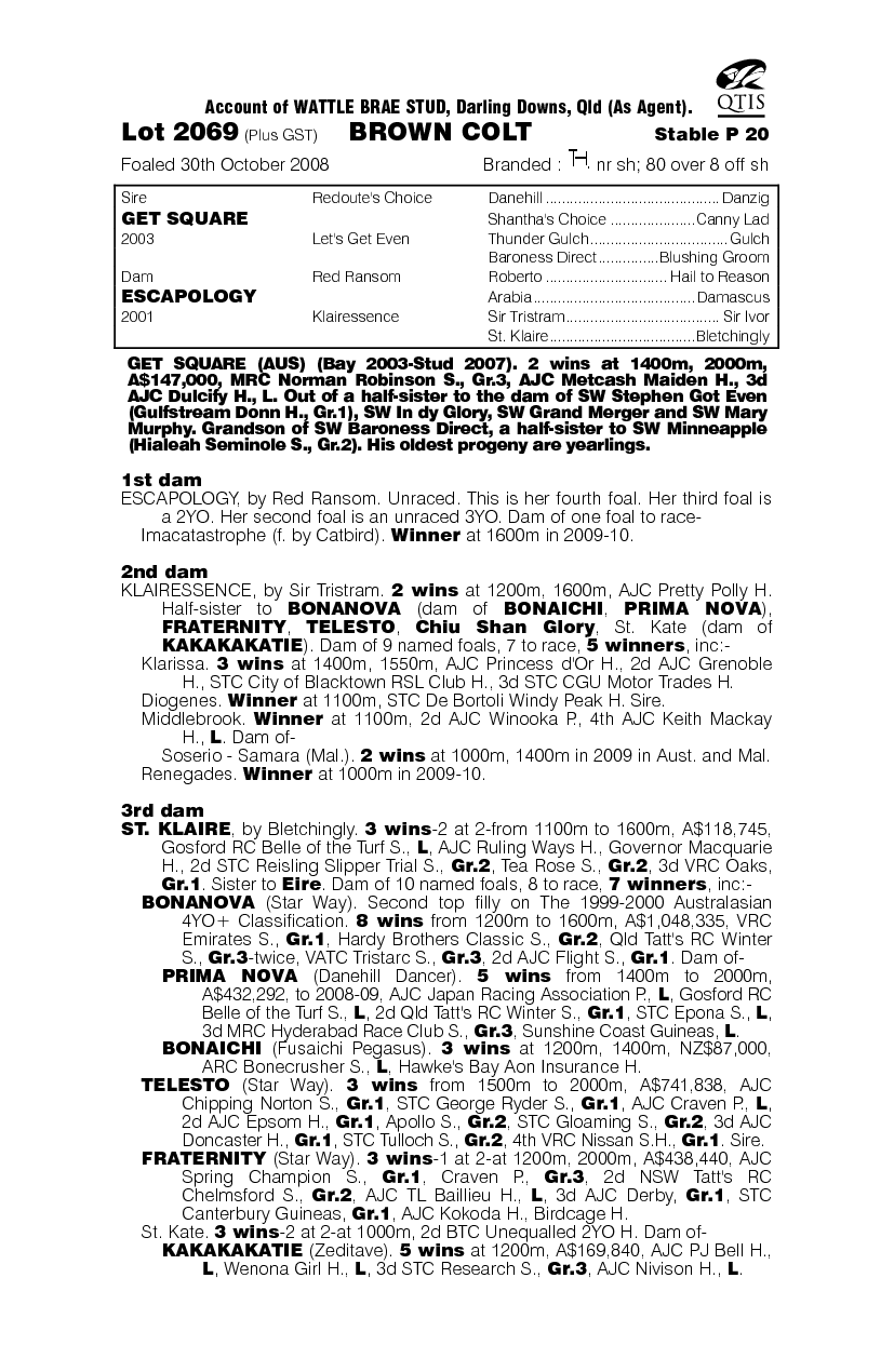 Eight Squared - pedigree