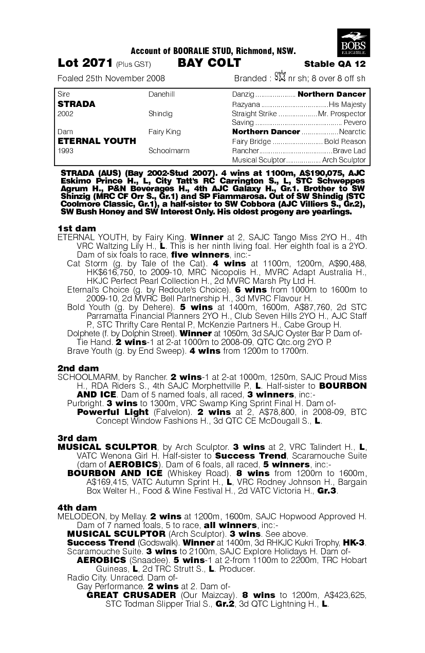 Smashed Up - pedigree