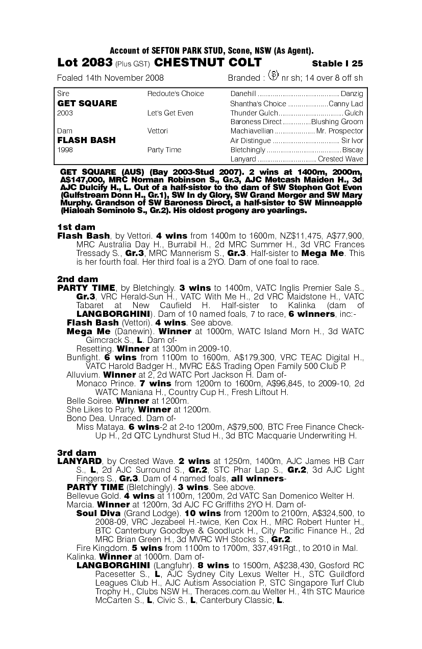 Divine Power - pedigree