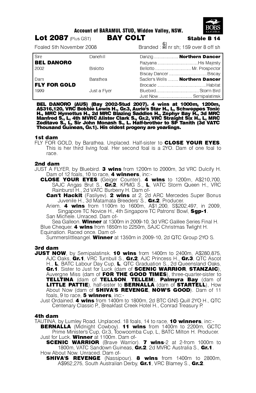 Magnetico - pedigree