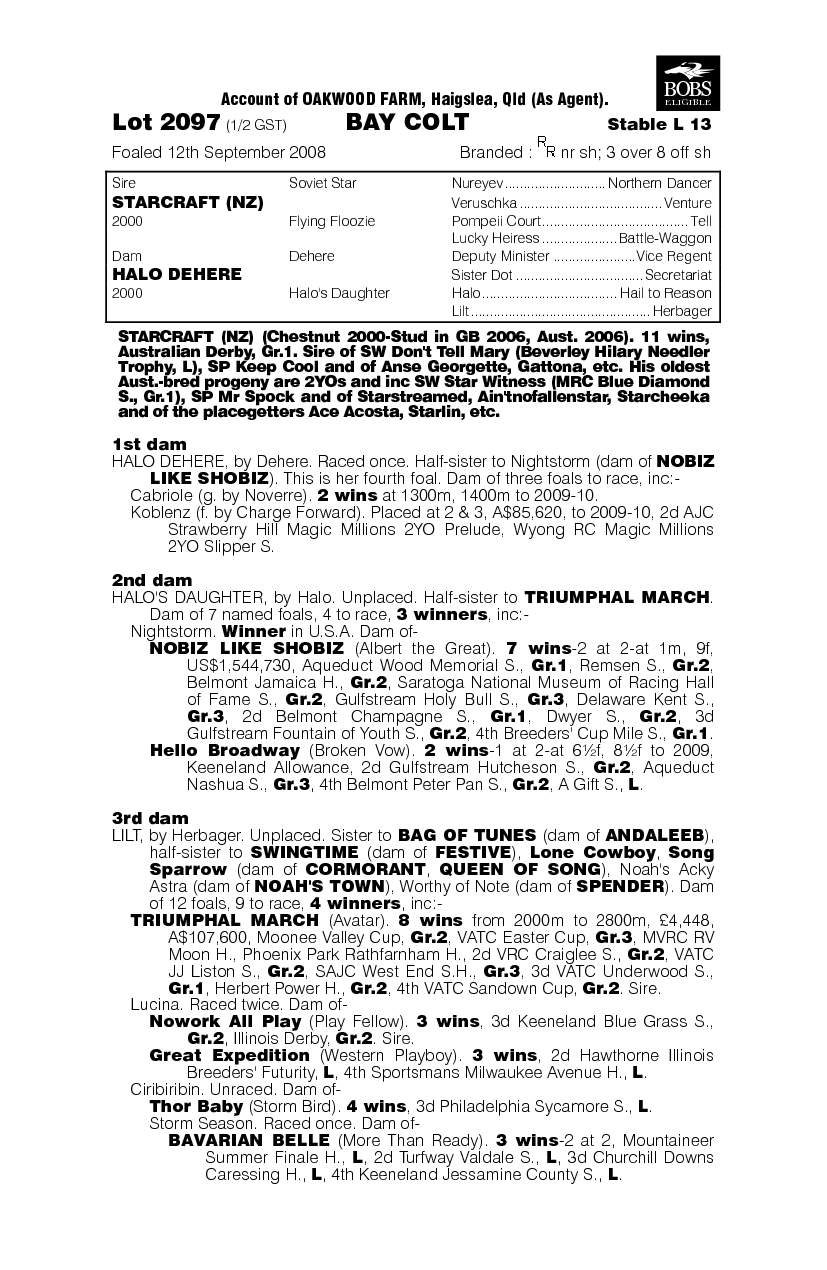 King Flight - pedigree