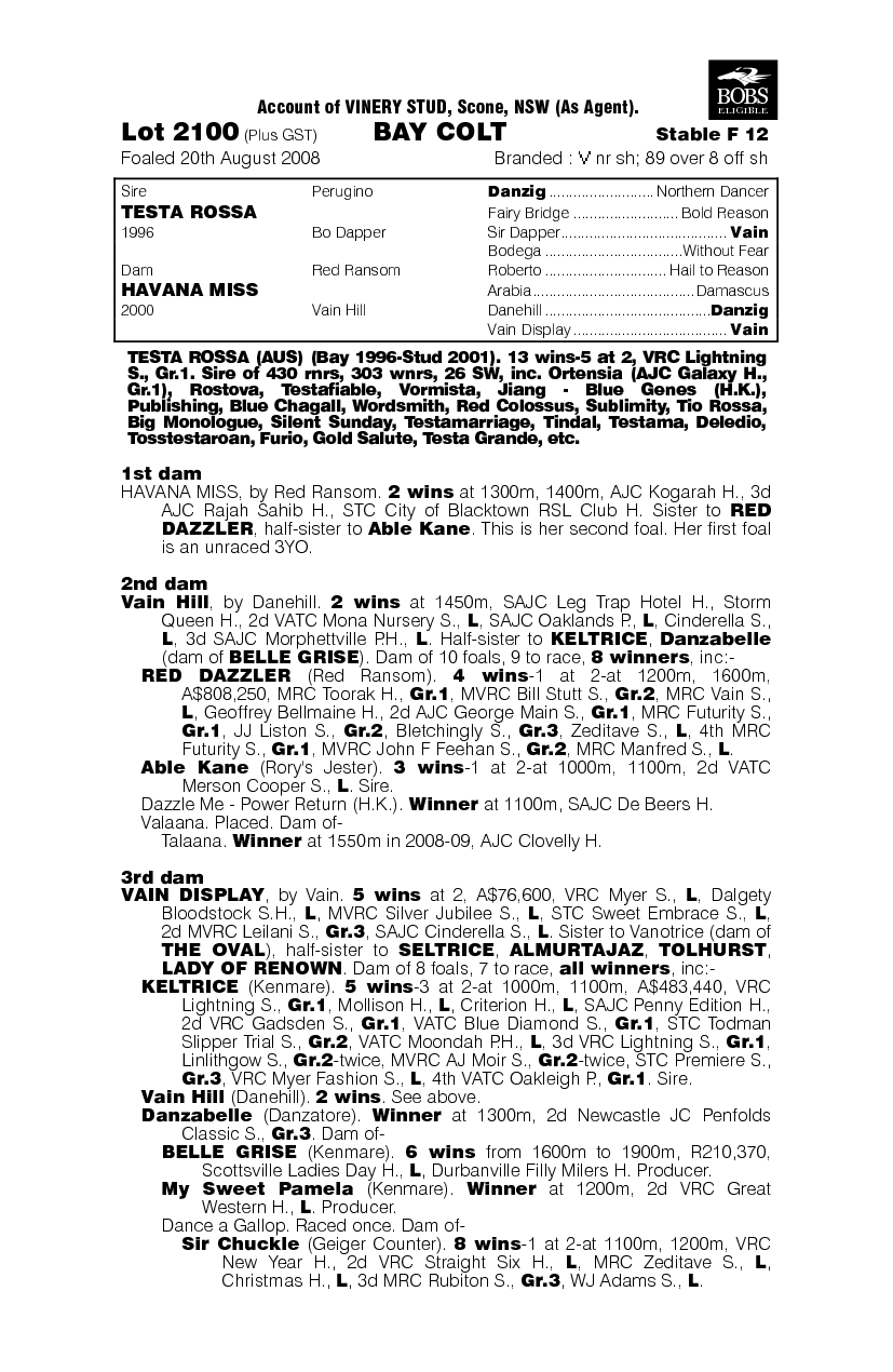 Beaver Fever - pedigree