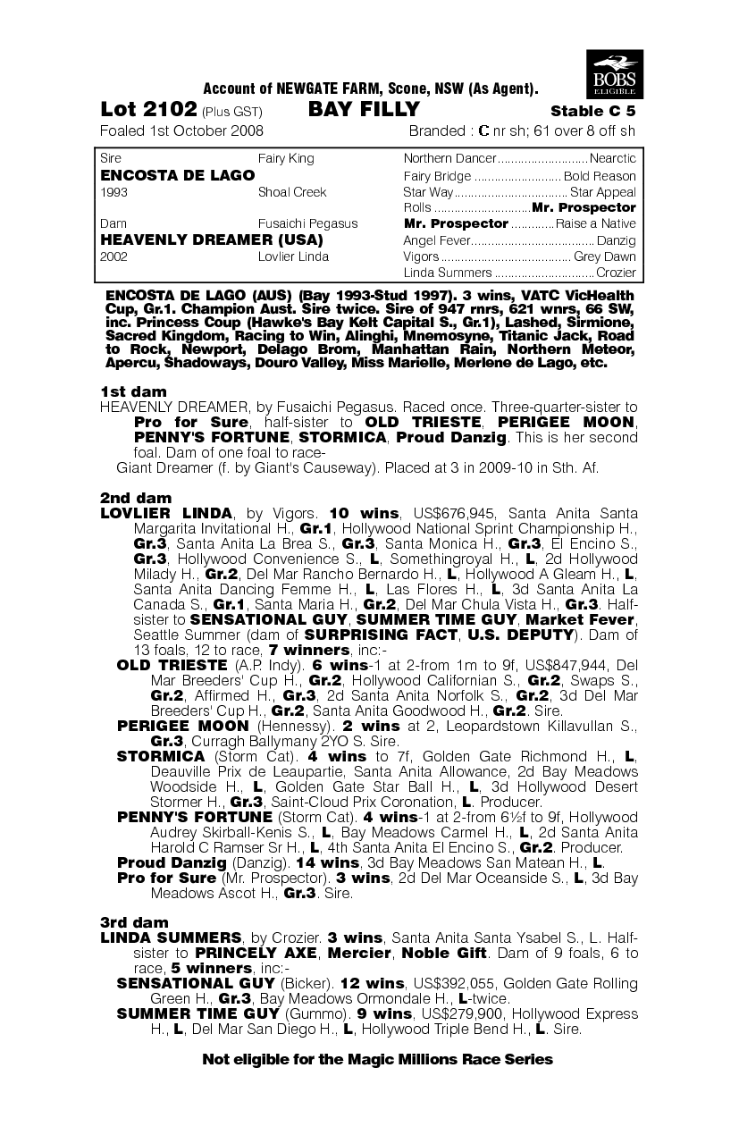 Apple Martini (AUS) - pedigree