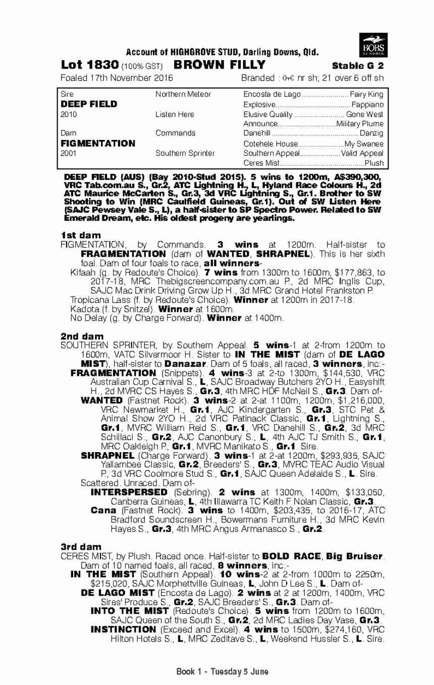 Deep Field (AUS) / Figmentation (AUS) - pedigree