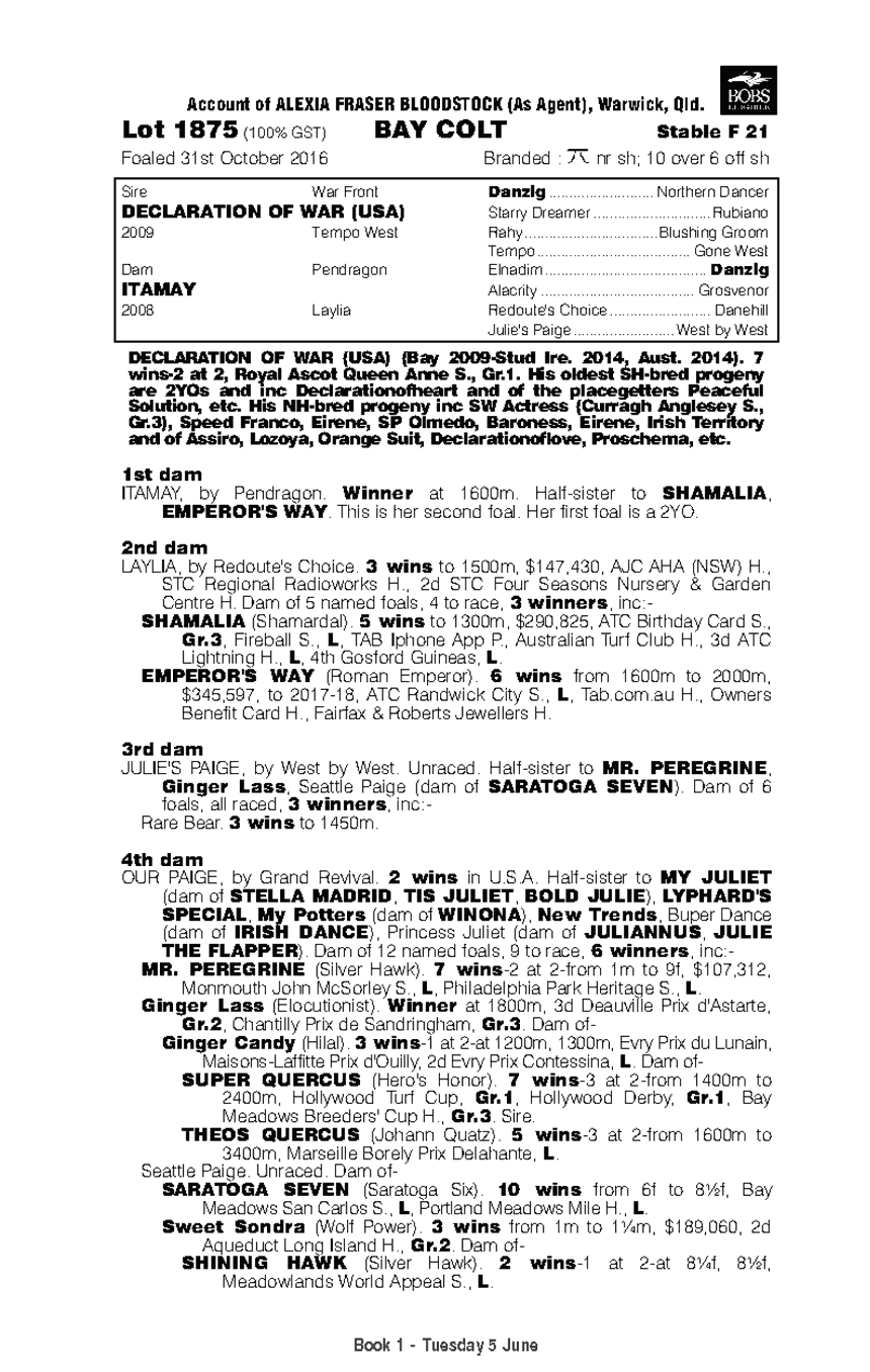 Declaration of War (USA) / Itamay (AUS) - pedigree