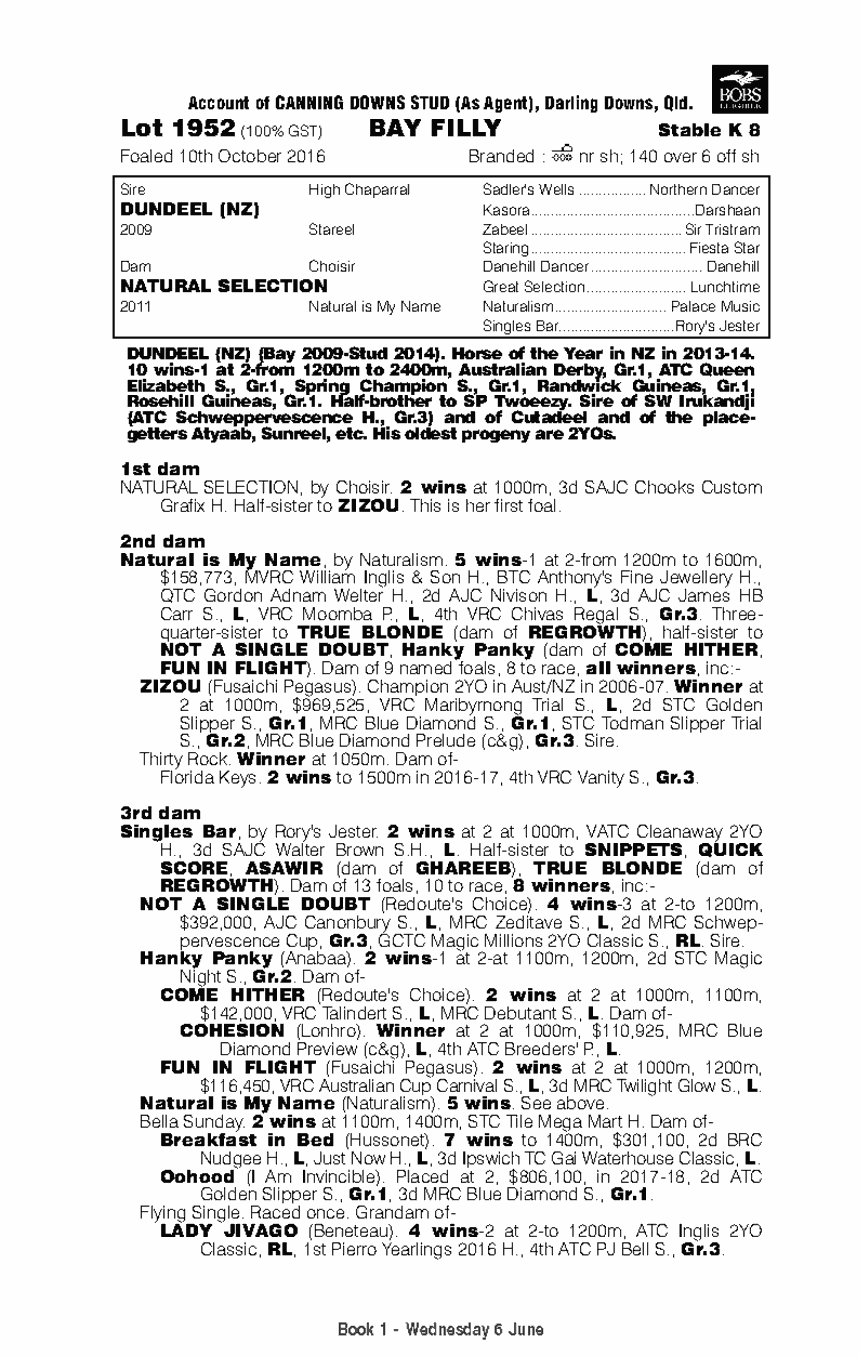 Dundeel (NZ) / Natural Selection (AUS) - pedigree