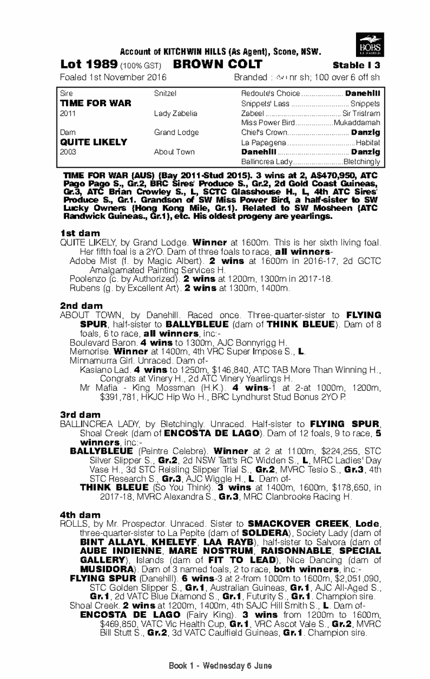 Time for War (AUS) / Quite Likely (AUS) - pedigree