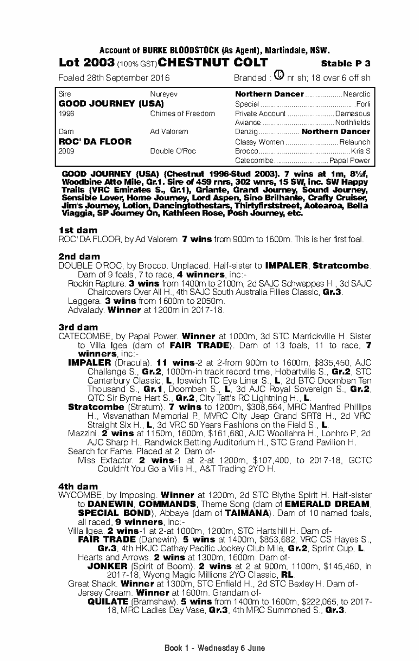 Good Journey (USA) / Roc' da Floor (AUS) - pedigree