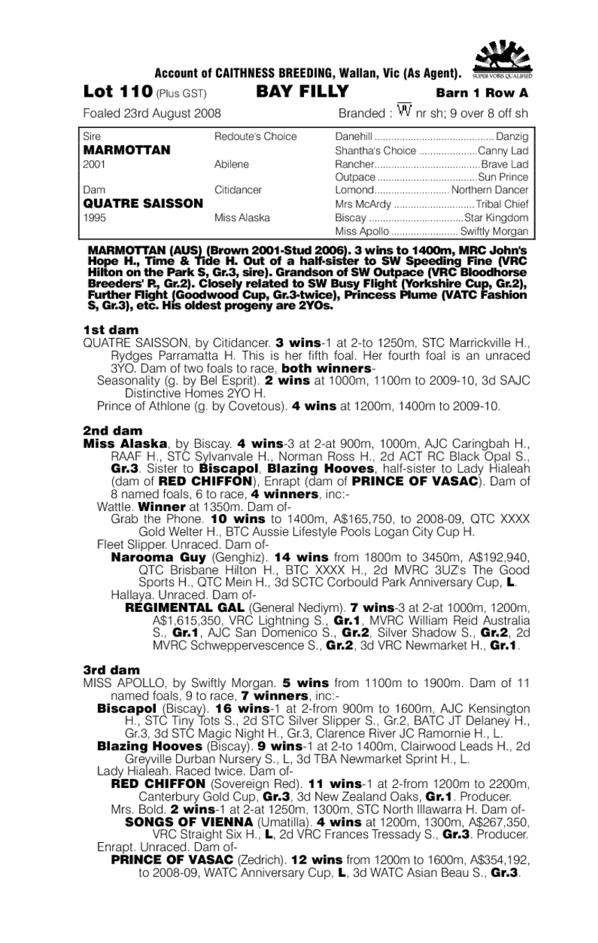 Marmottan (AUS) / Quatre Saisson (AUS) - pedigree