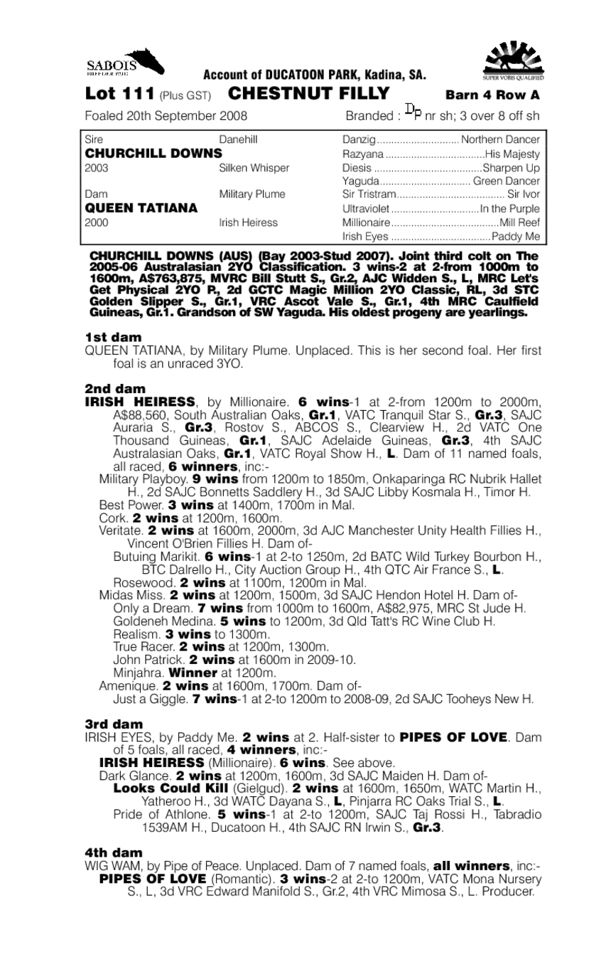 Tsarina Wonder - pedigree