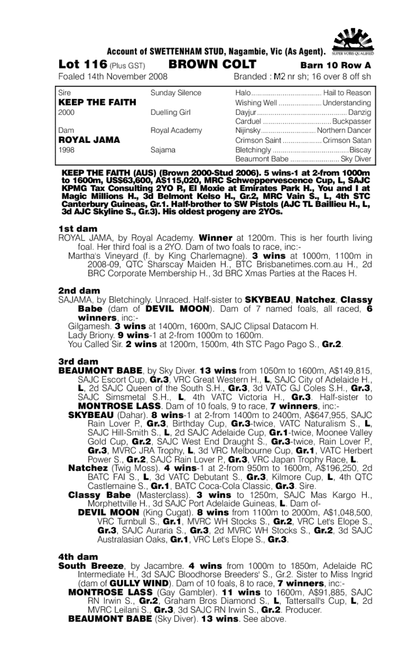 Fear The Faith - pedigree