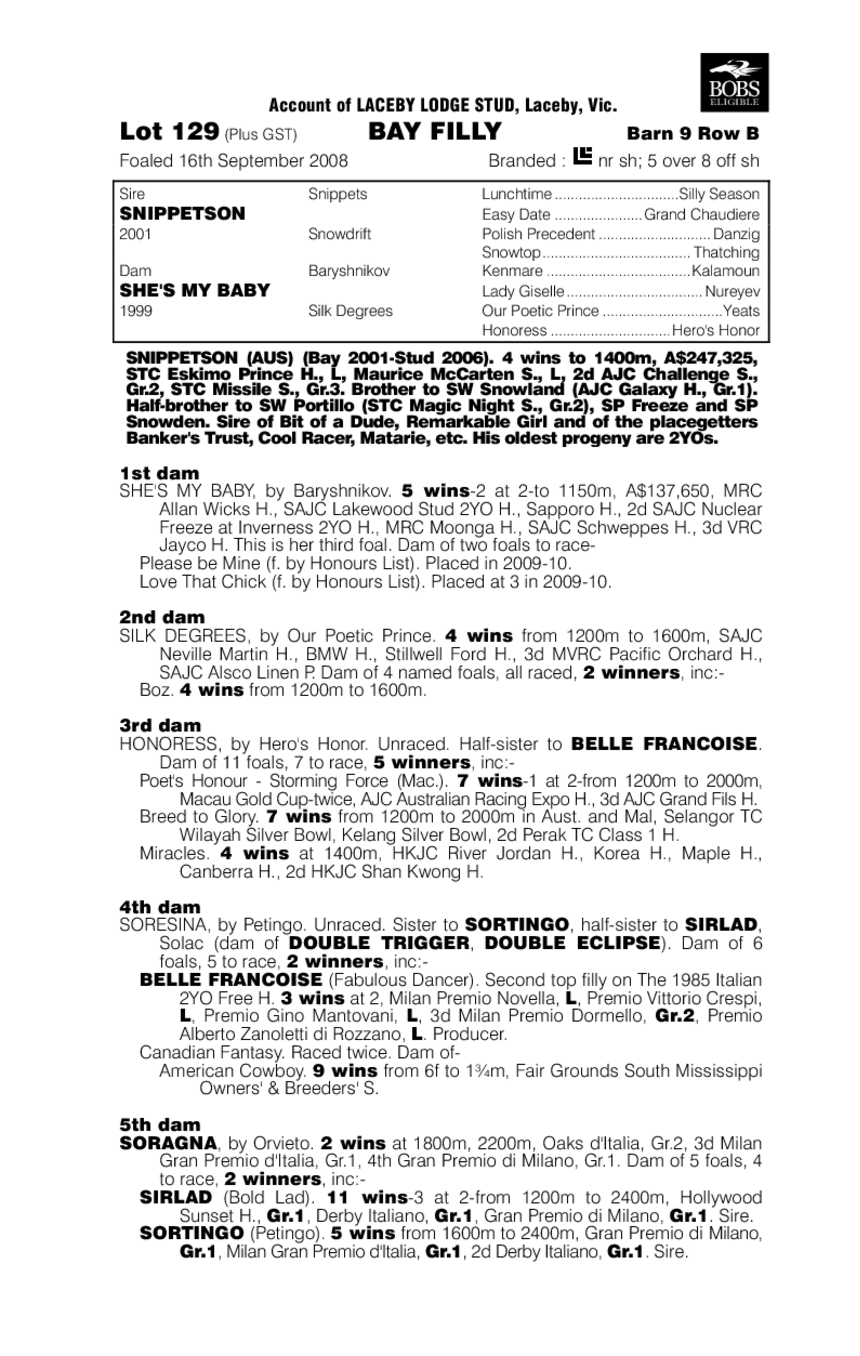 She's Molly - pedigree