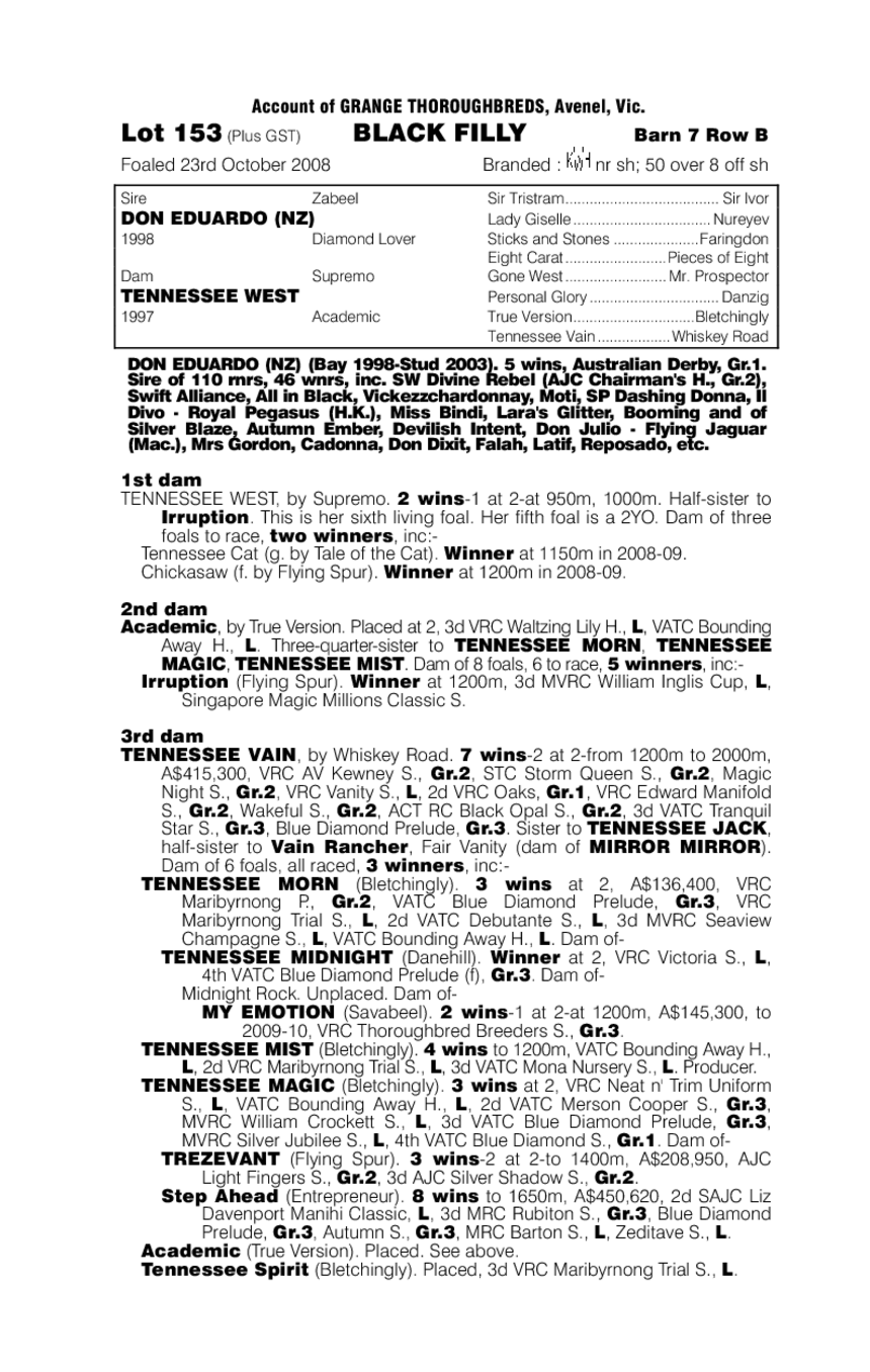 Black Fascinator - pedigree