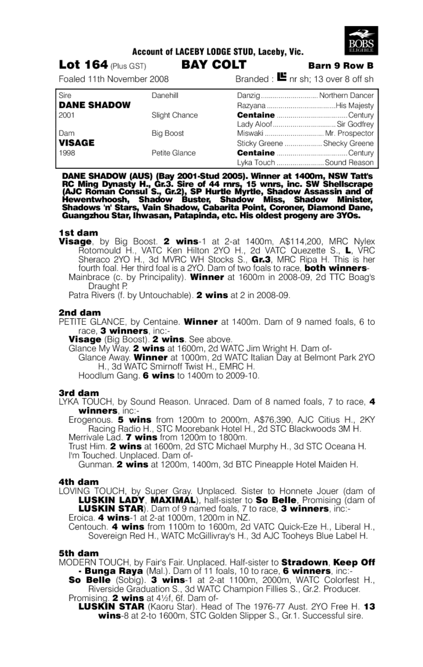Dane Shadow (AUS) / Visage (AUS) - pedigree