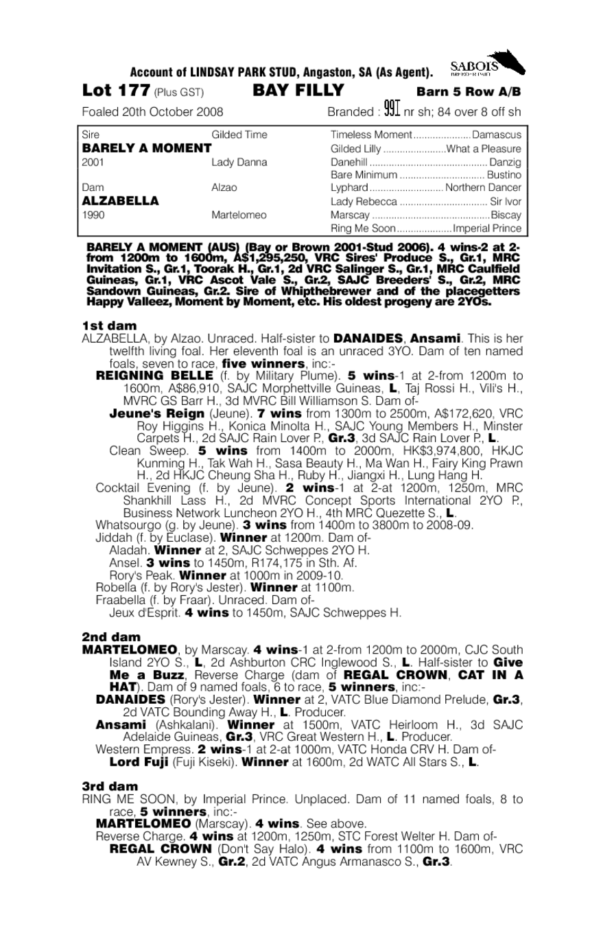 Time For Bella - pedigree