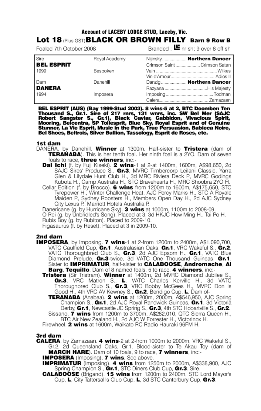 Magnetic Magic - pedigree