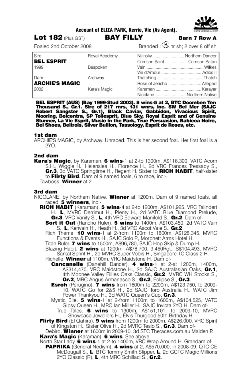 Esprit Magic - pedigree