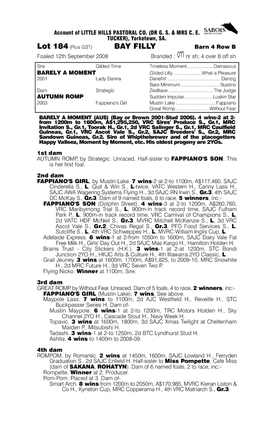 La Vita Momento - pedigree