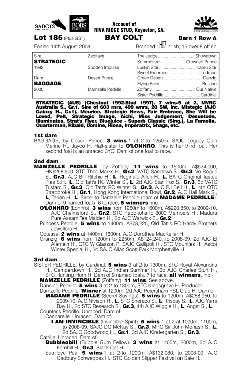 Strategic (AUS) / Baggage (AUS) - pedigree