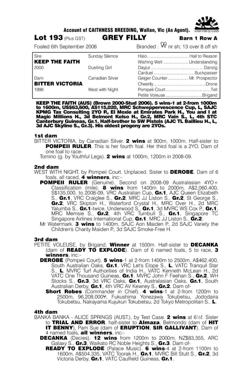 Wicked Kiss - pedigree