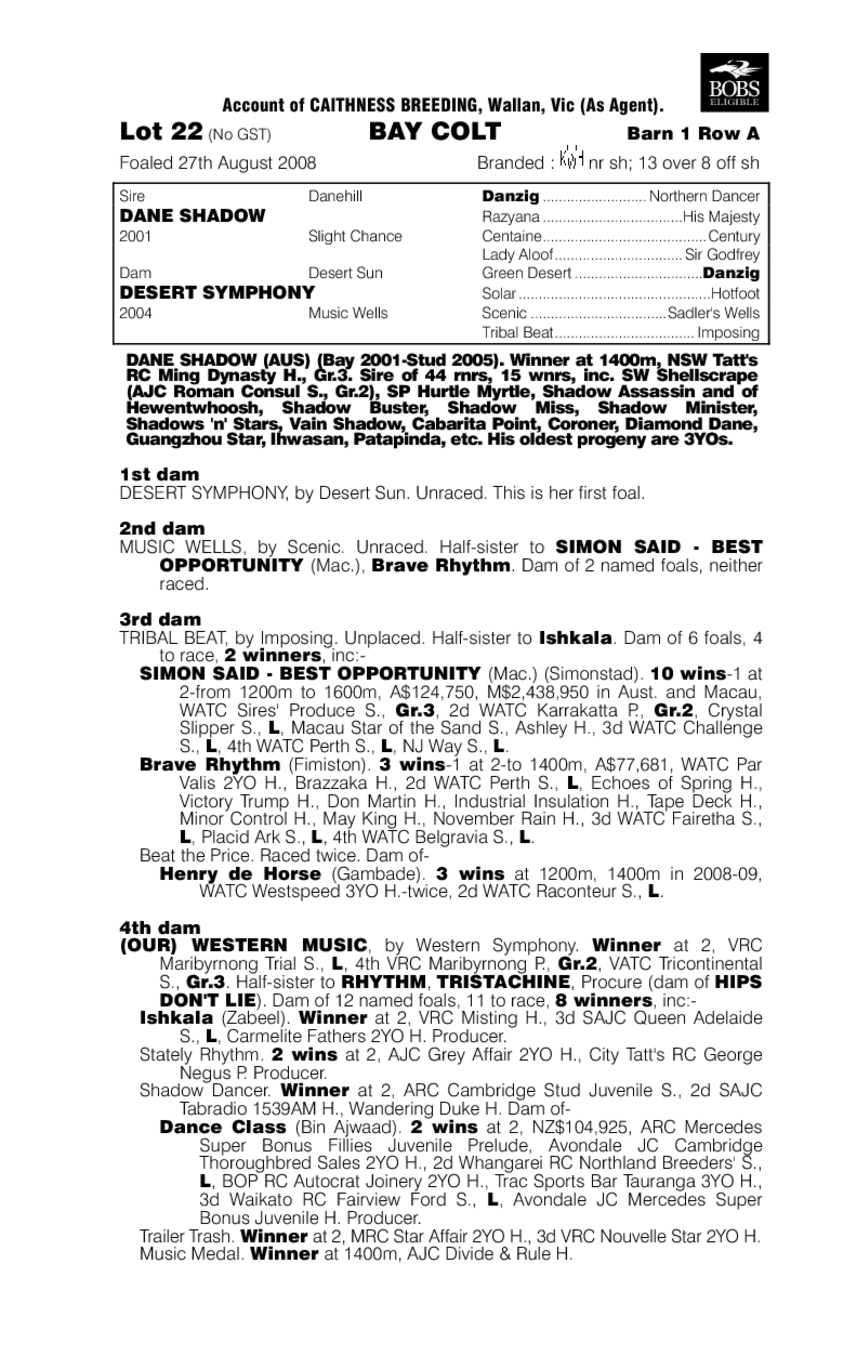 Dane Shadow (AUS) / Desert Symphony (AUS) - pedigree