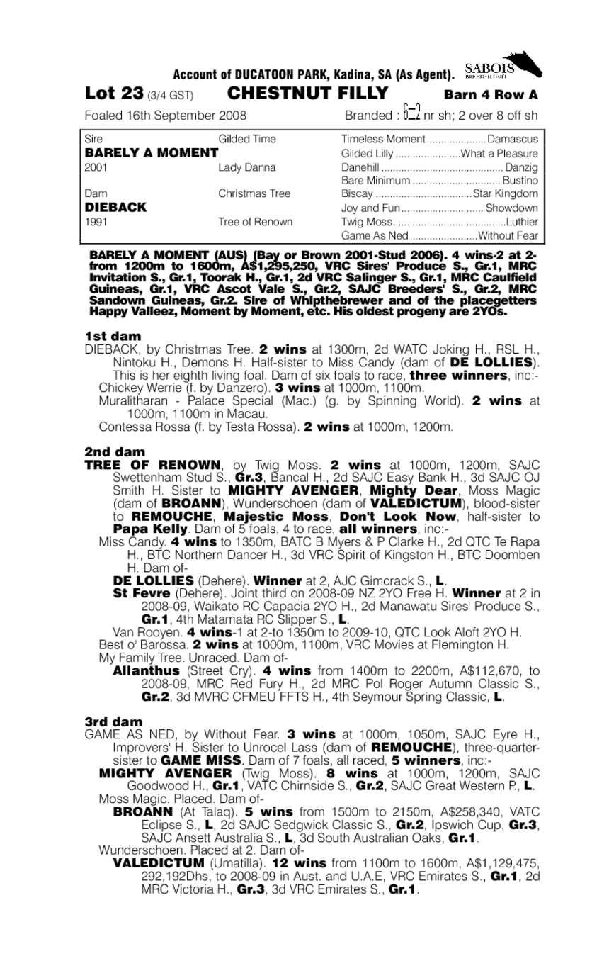 Moment Supreme - pedigree