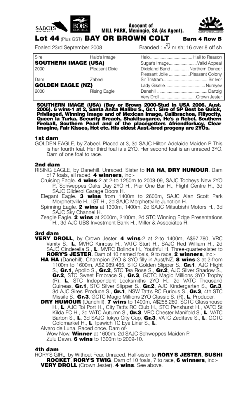 Southern Invasion - pedigree