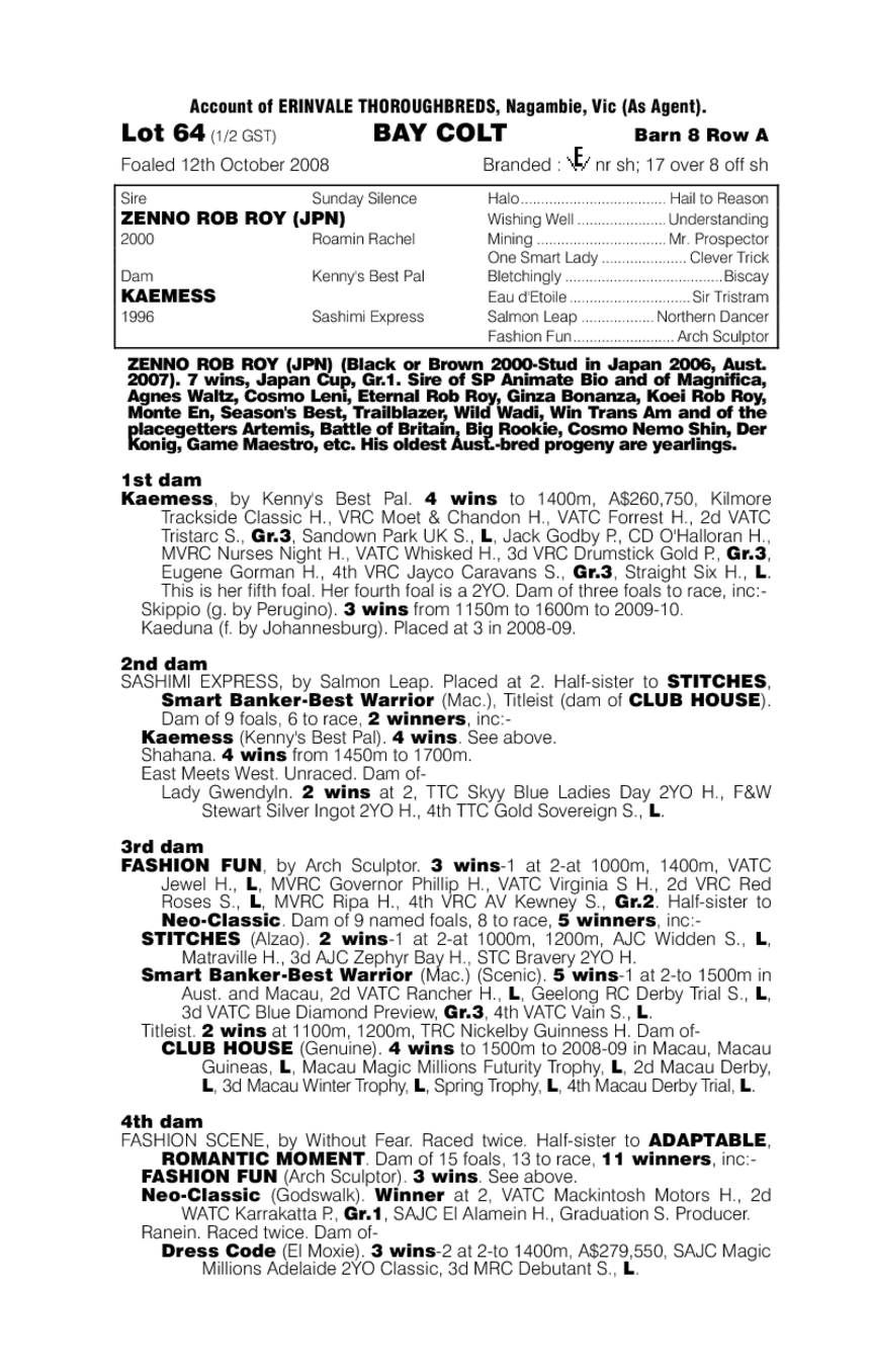 Roy The Boy - pedigree