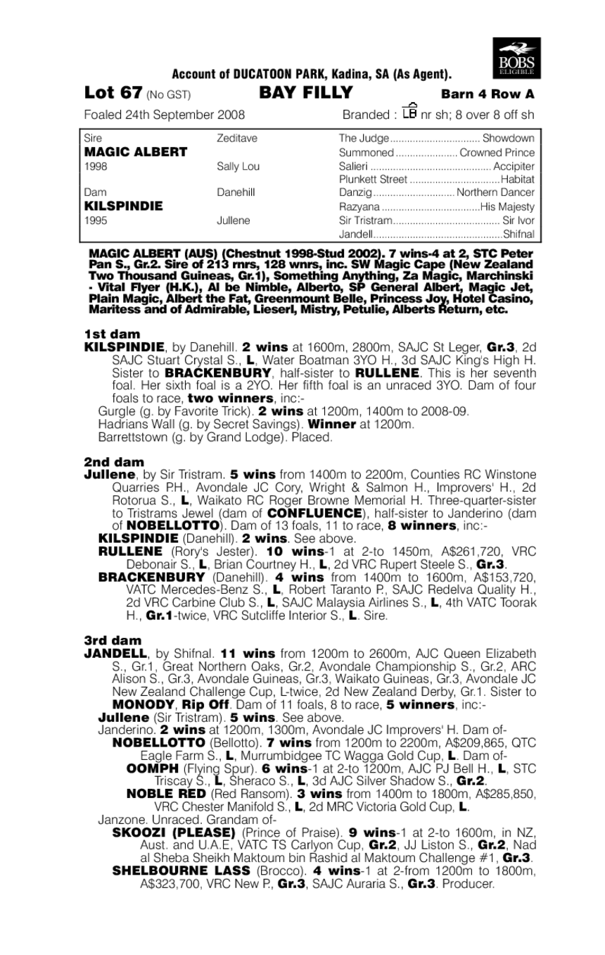 Sharpay Magic - pedigree